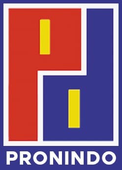 Pronindo Logo